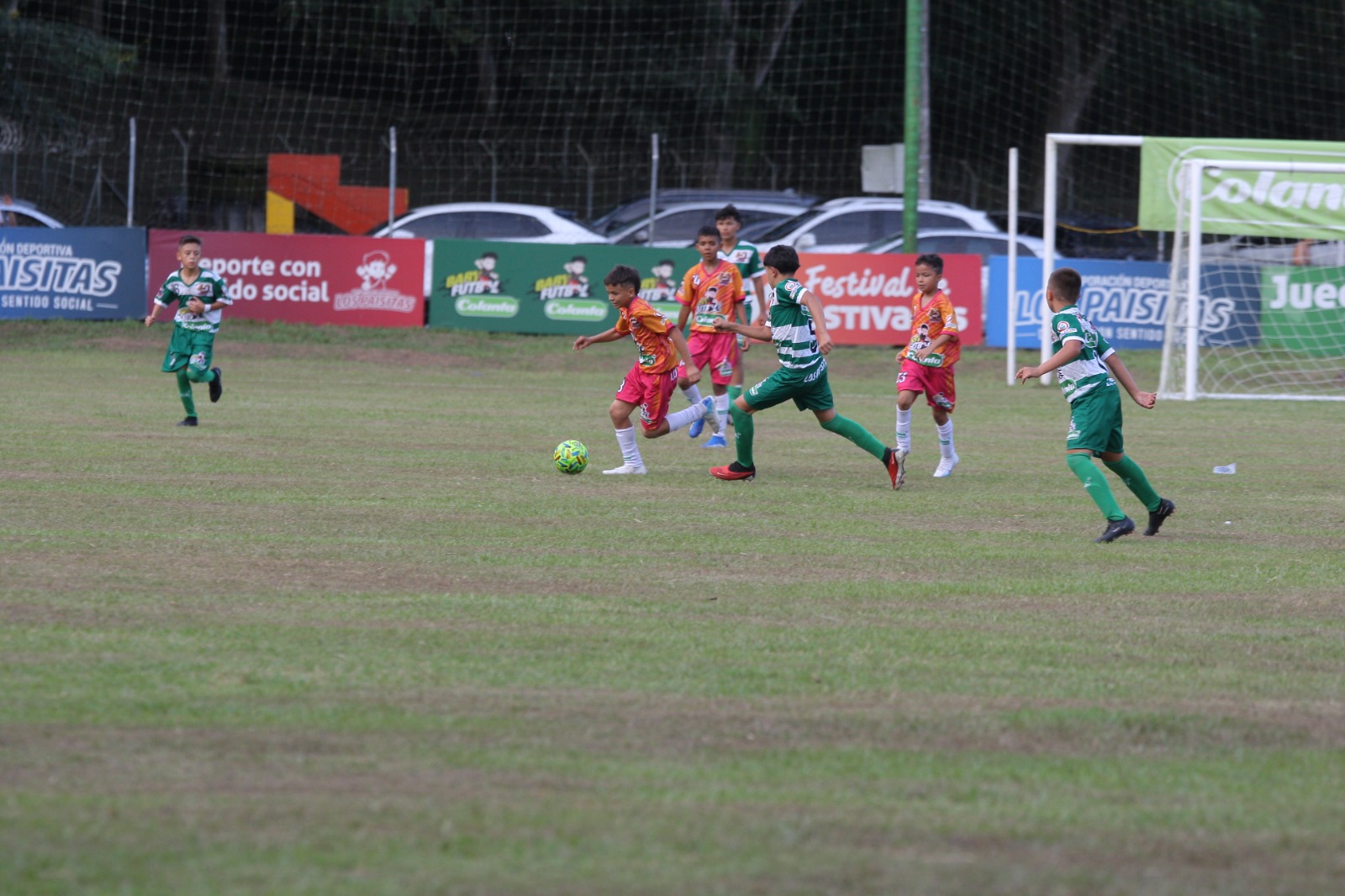 https://festivaldefestivales.com/wp-content/uploads/2024/09/cuartos-de-final-babyfutbol-colanta-viterbo-2024-2025.jpeg