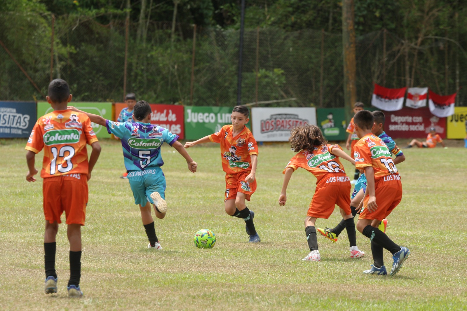 https://festivaldefestivales.com/wp-content/uploads/2024/09/finalistas-viterbo-babyfutbol-colanta-2024-2025.jpeg