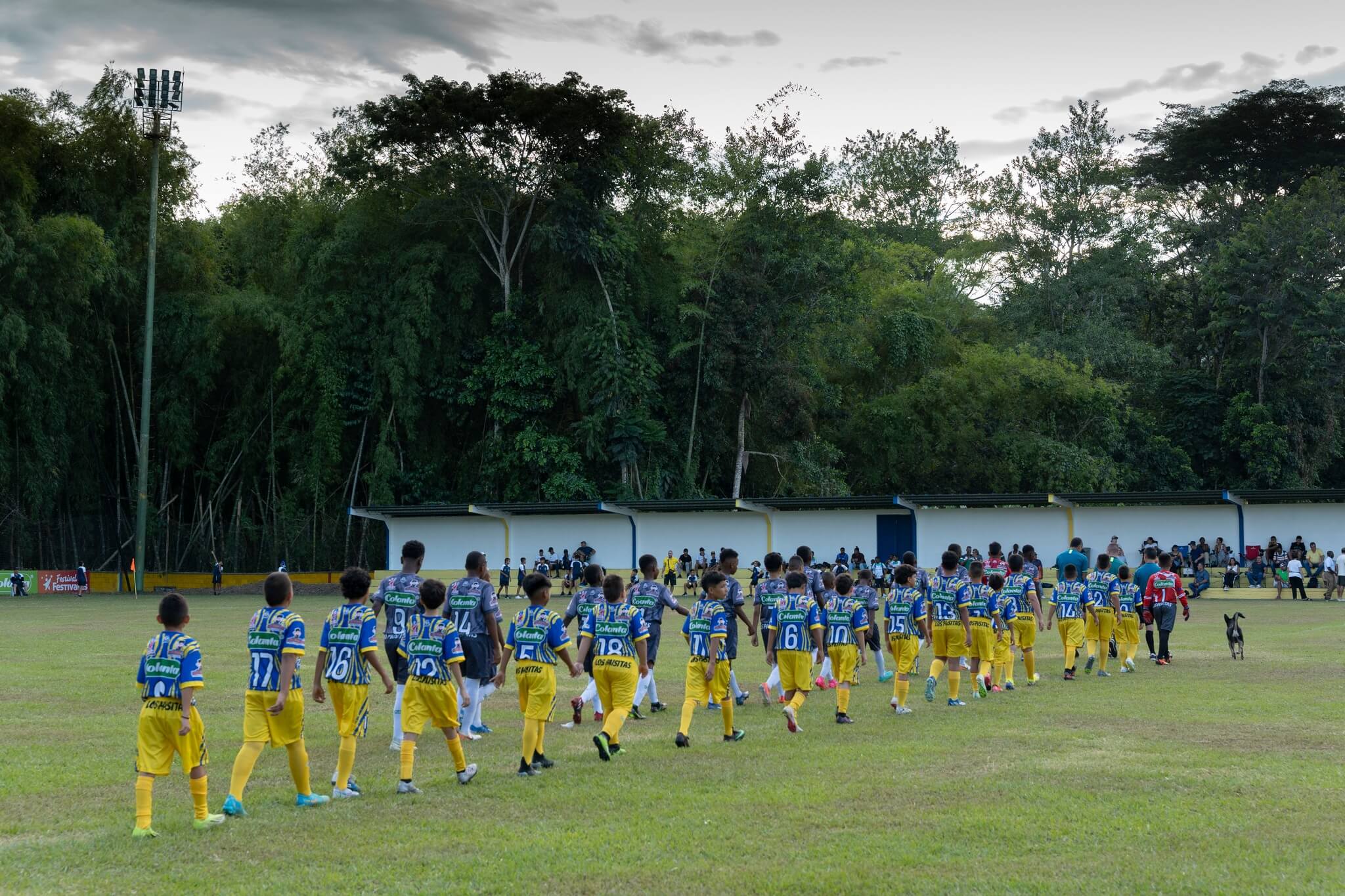 https://festivaldefestivales.com/wp-content/uploads/2024/09/grupos-viterbo-babyfutbol-colanta-2024-2025.jpg