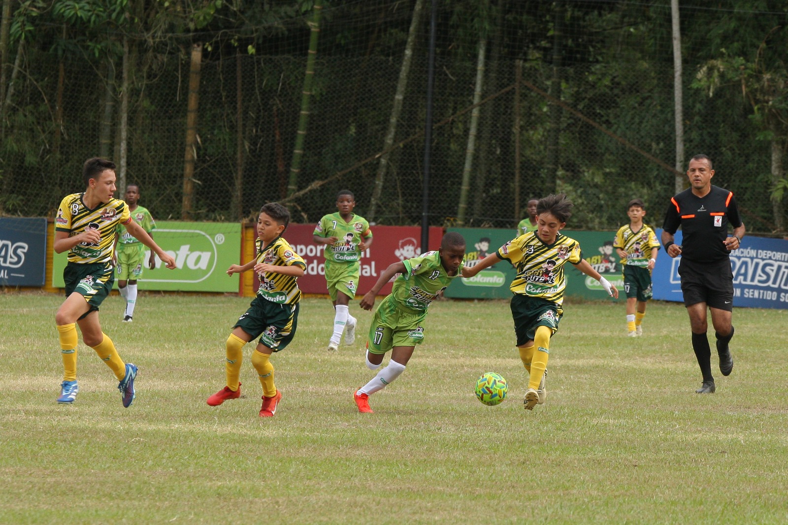 https://festivaldefestivales.com/wp-content/uploads/2024/09/semifinalistas-viterbo-caldas-babyfutbol-colanta-2024-2025.jpeg