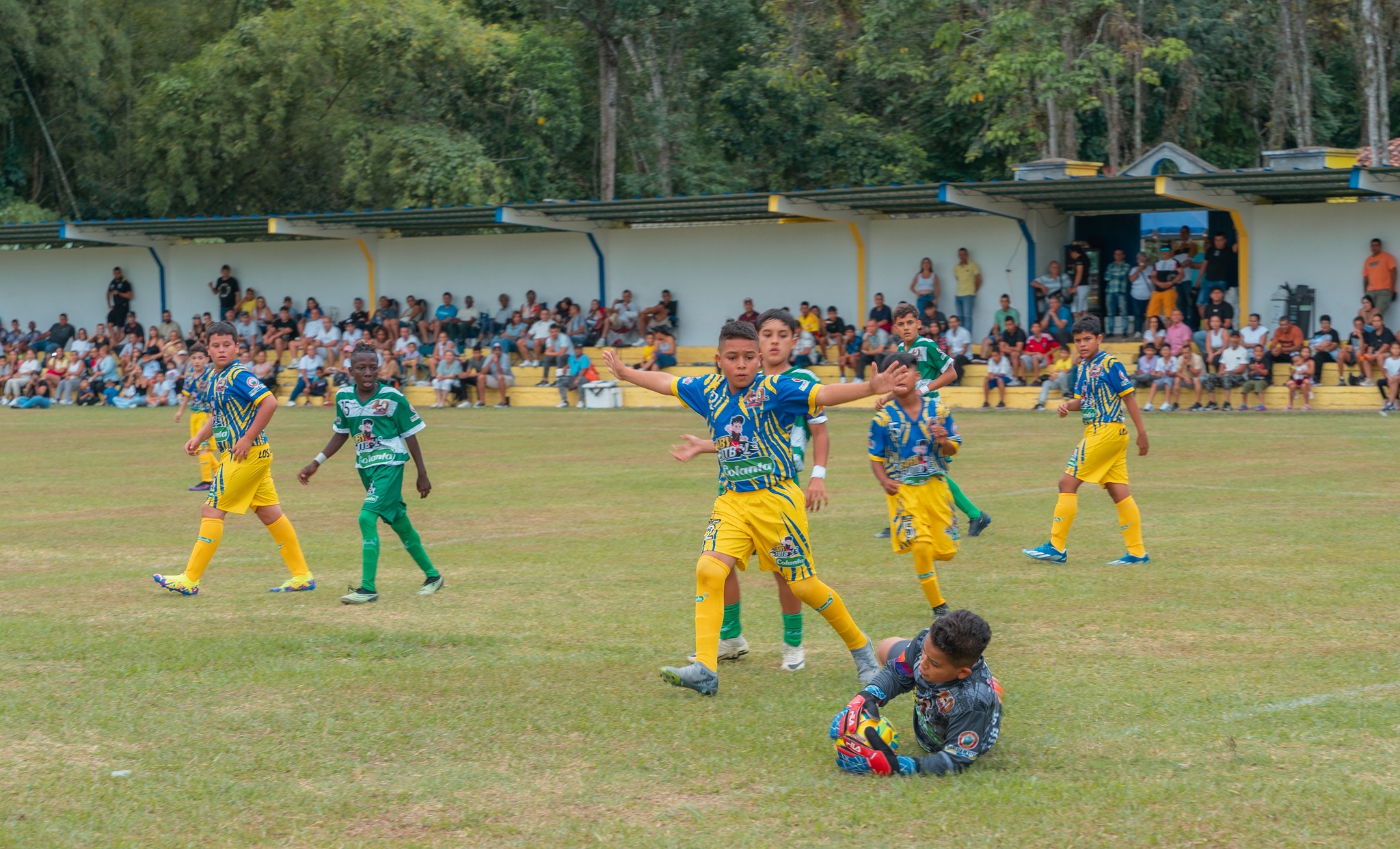 zonal-centro-de-colombia-babyfutbol-colanta-2024-2025