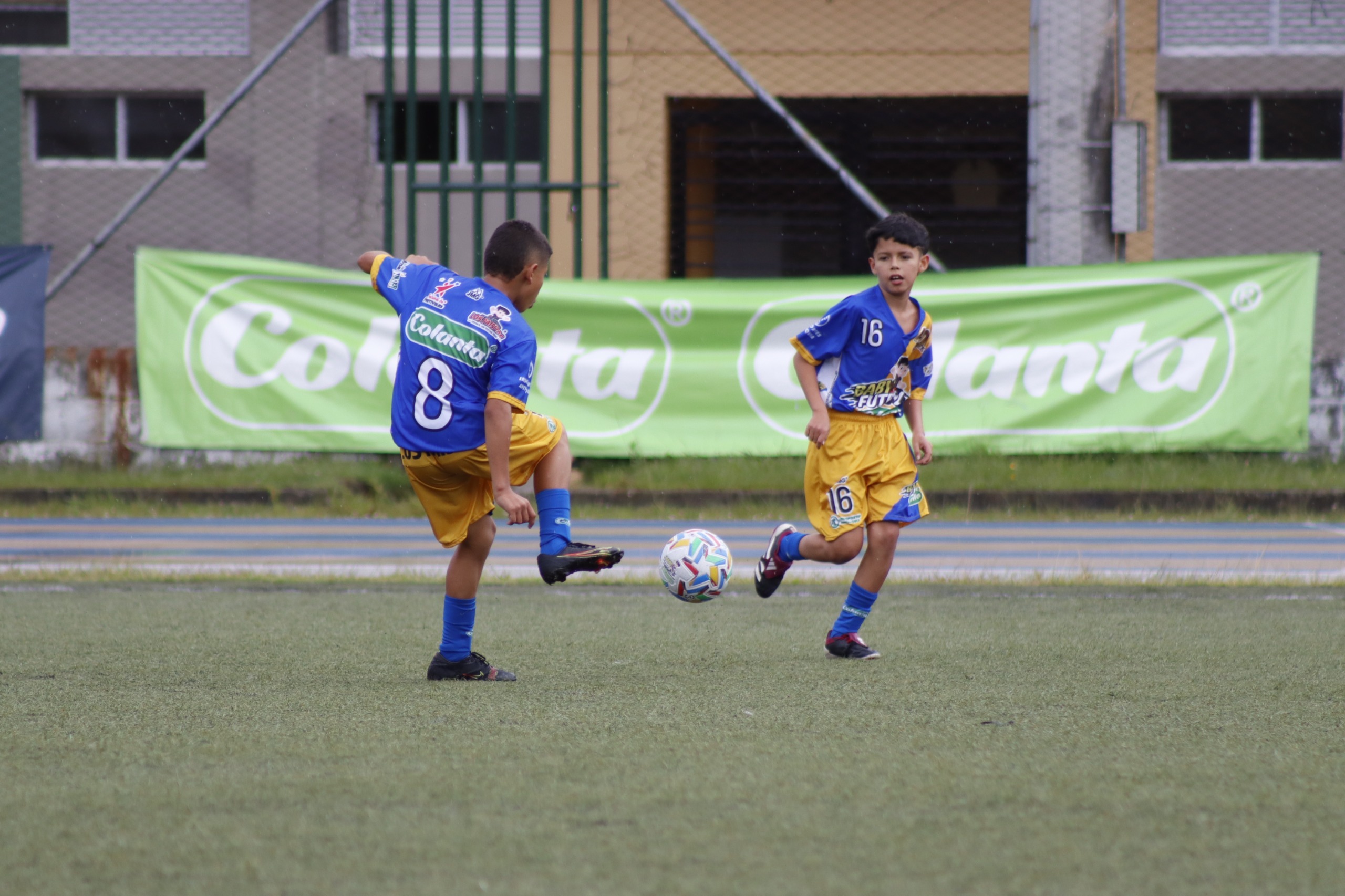 Babyfutbol-colanta-se-vive-en-guarne-2024-2025