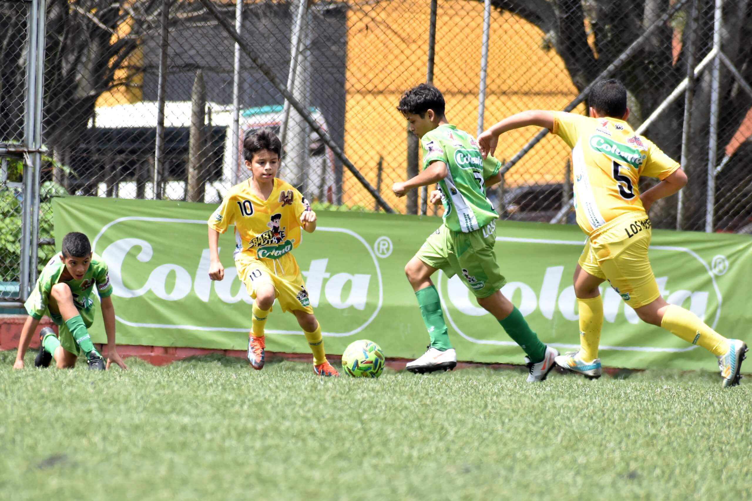 cuatro-clasificados-babyfutbol-colanta-2024-2025