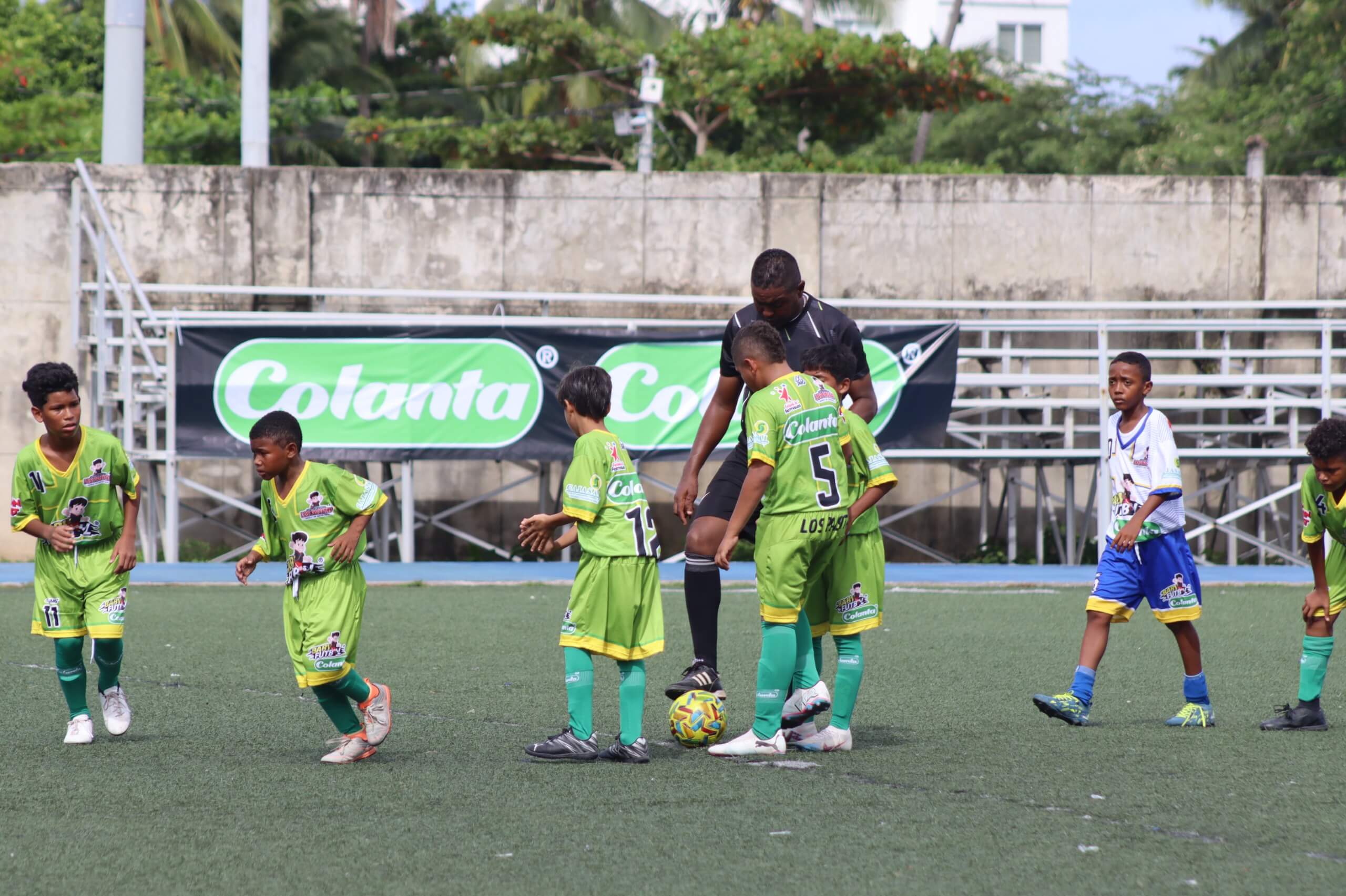 https://festivaldefestivales.com/wp-content/uploads/2025/06/sai-fin-fase-de-grupos-babyfutbol-colanta-2025-26.jpeg