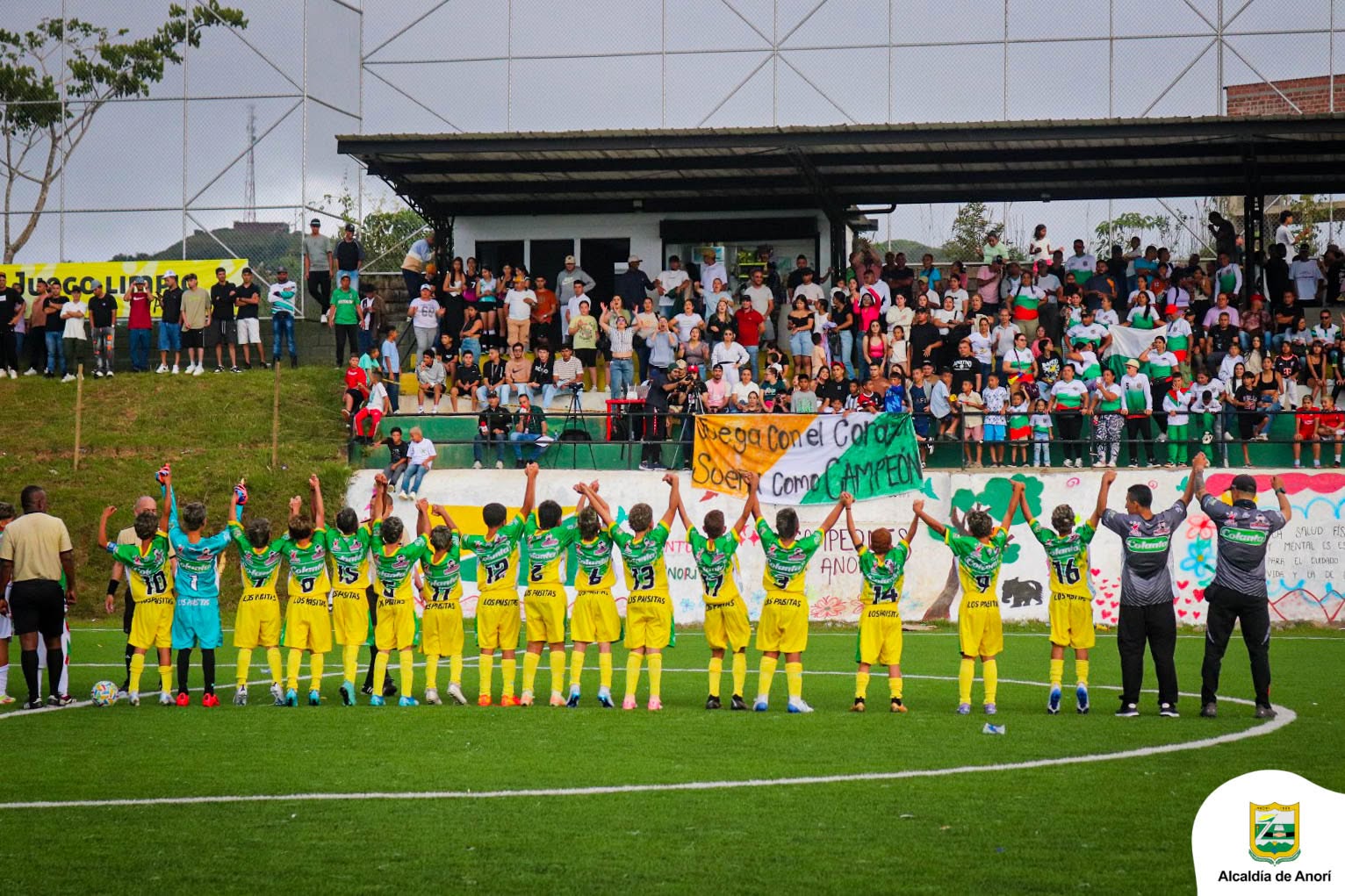 https://festivaldefestivales.com/wp-content/uploads/2025/07/babyfutbol-colanta-octavos-de-final-2025-2026-anori.jpg