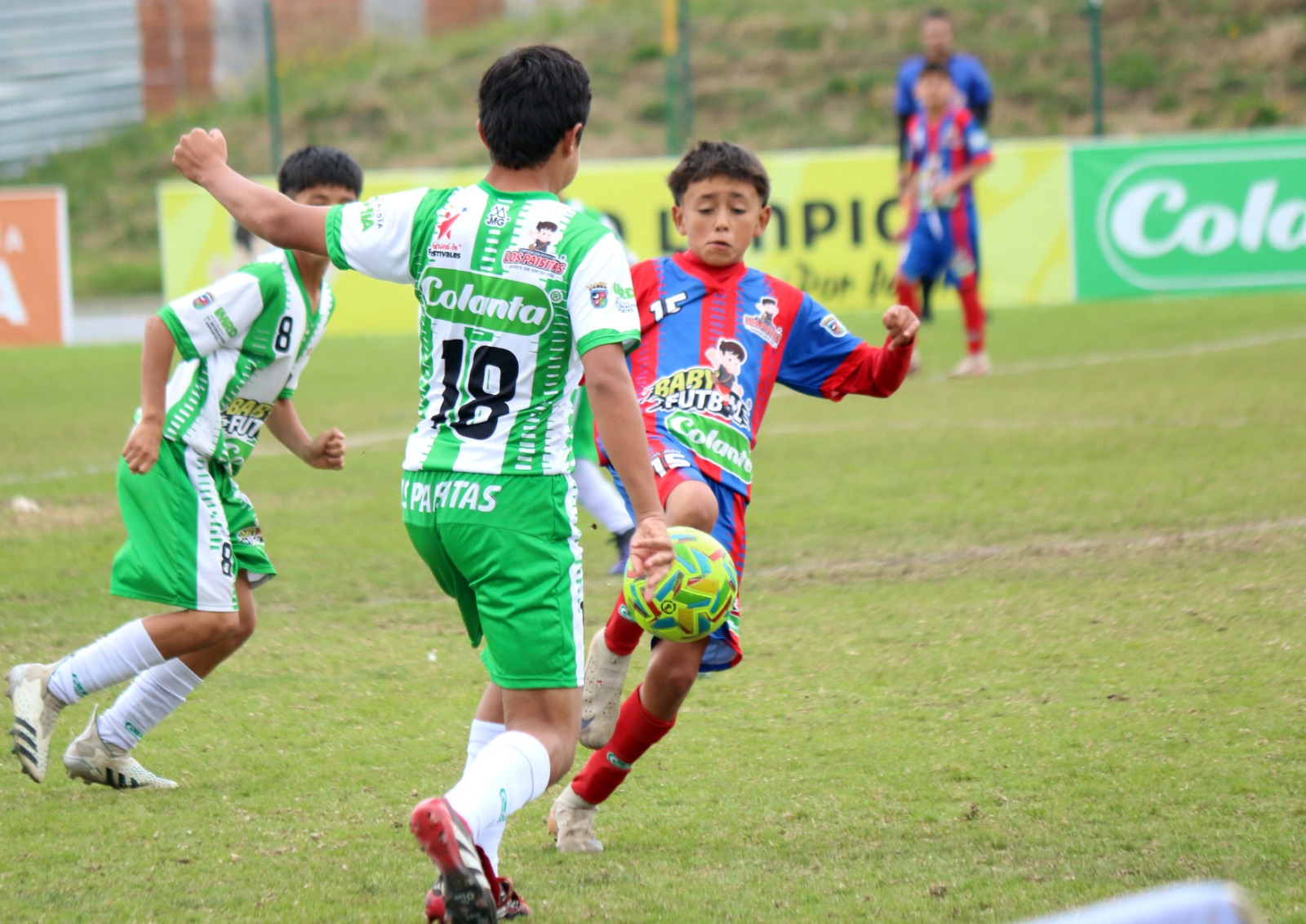 https://festivaldefestivales.com/wp-content/uploads/2025/10/finalistas-en-chia-cundinamarca-babyfutbol-colanta-2025-2026.jpg