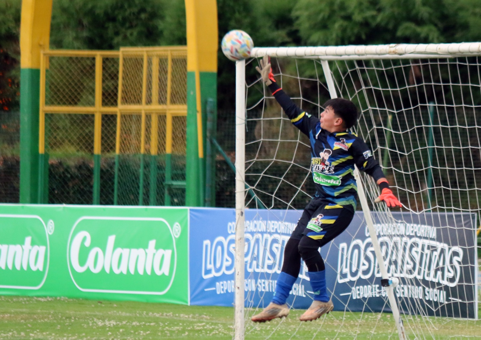 https://festivaldefestivales.com/wp-content/uploads/2025/10/finalistas-zonales-babyfutbol-colanta-2025-2026-chia.jpg